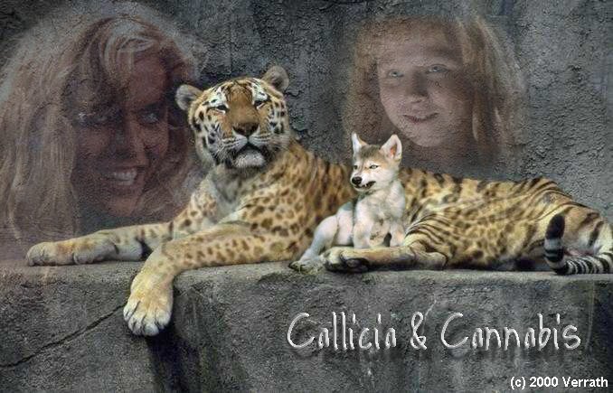 images/callican.jpg?