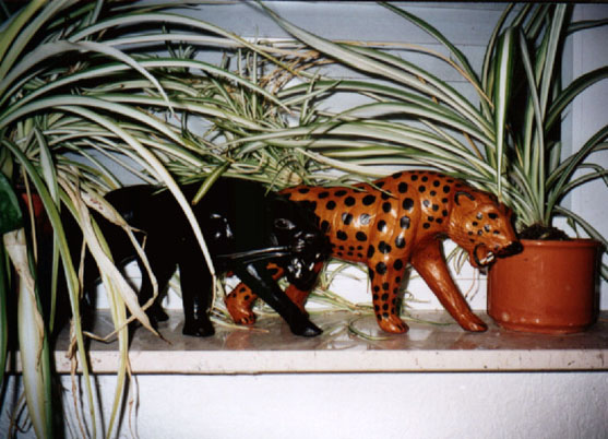 images/cats.jpg?